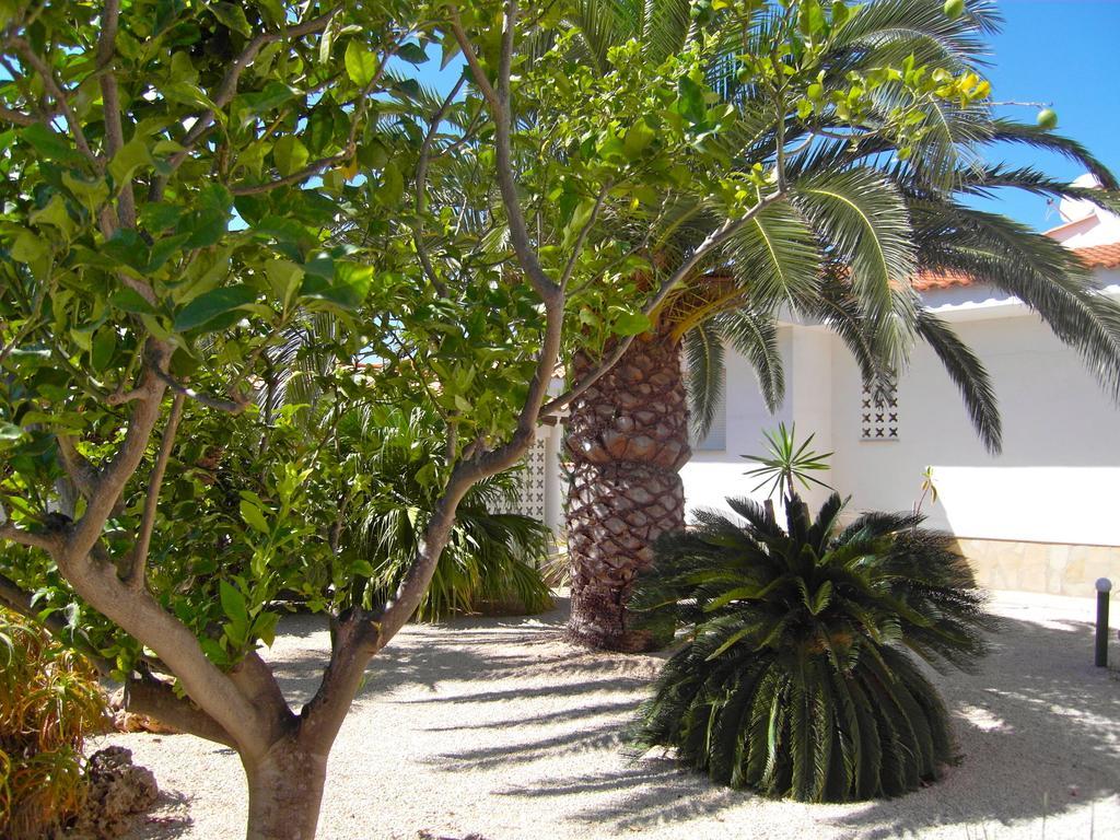 Apartment Los Eucaliptus L'Eucaliptus Екстериор снимка